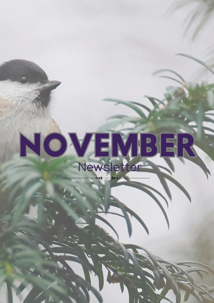 November 